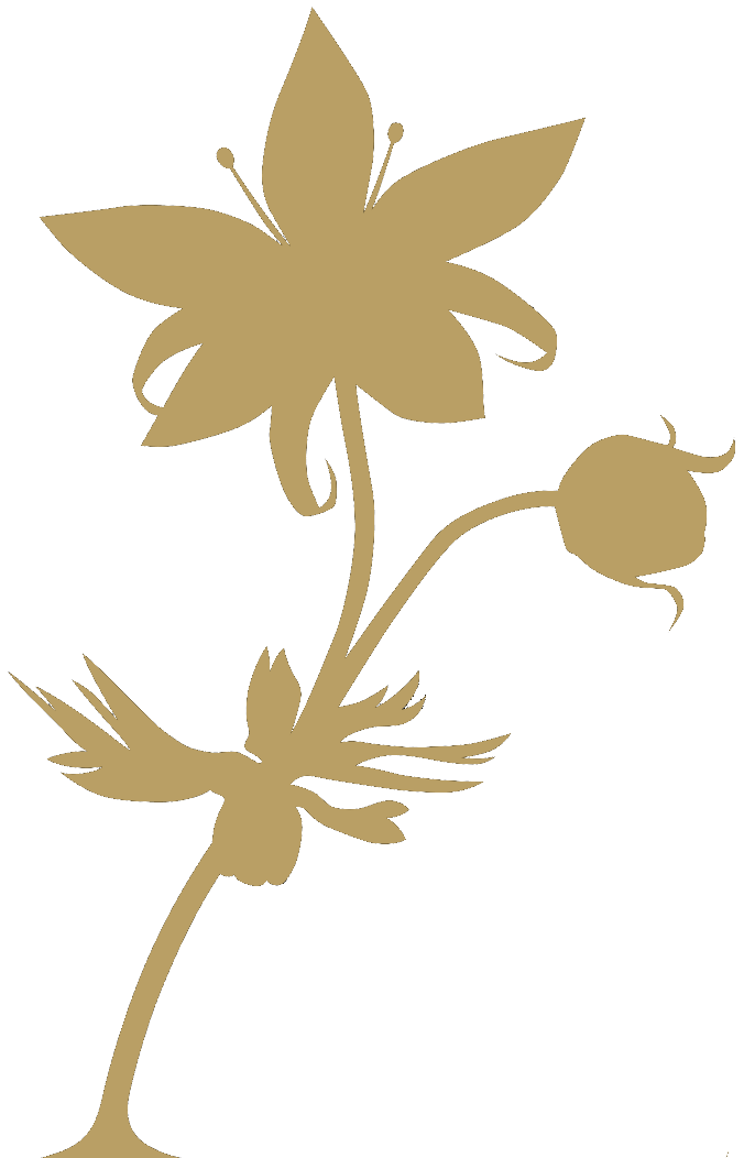 A dark gold flower with two buds, one open and one closed, taken 
               from logo of Breath of the Wild